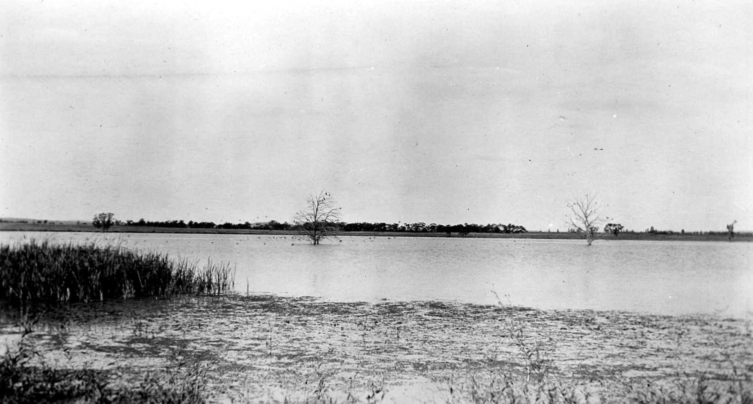 Lake Wyangan in 1950, clear blue water